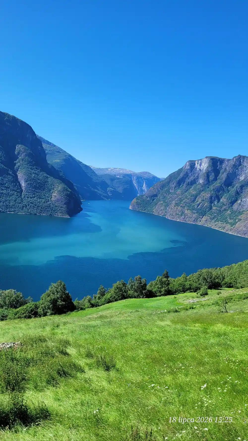Bright turquoise water in the fjord below green pasture