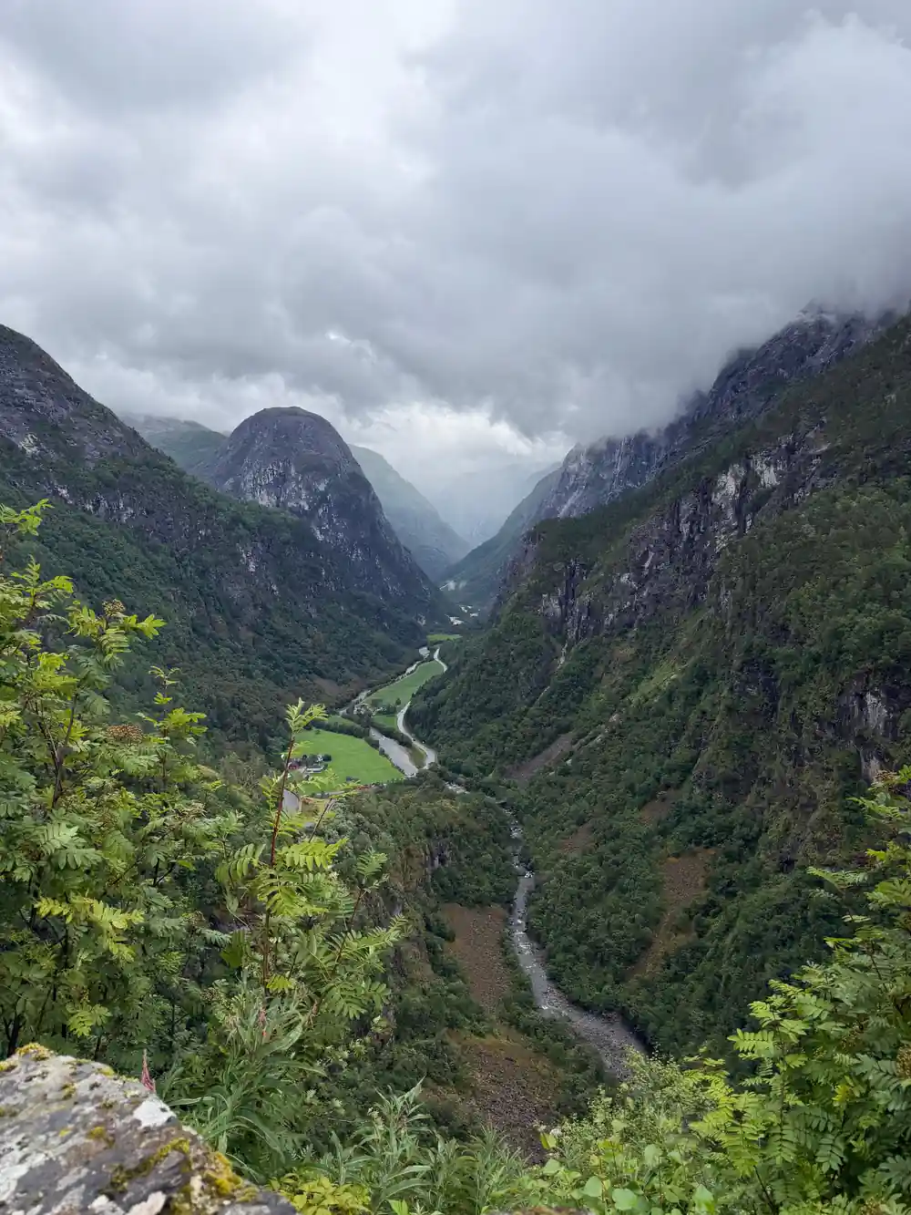 A river and a road threading the valley floor between steep green walls